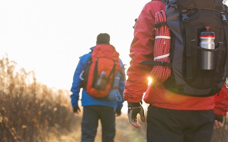 Rear view of male backpackers walking in field